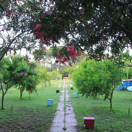 Guest house Esralina