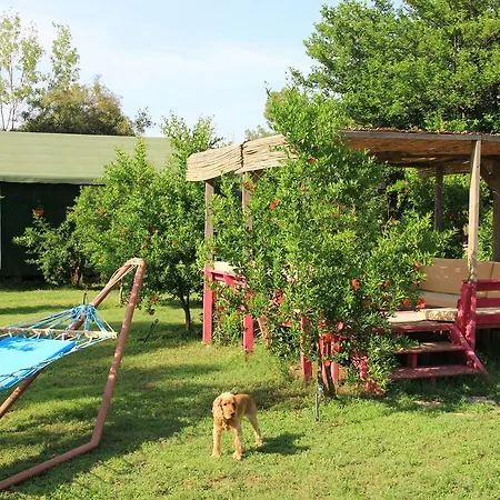 Esralina Guest house